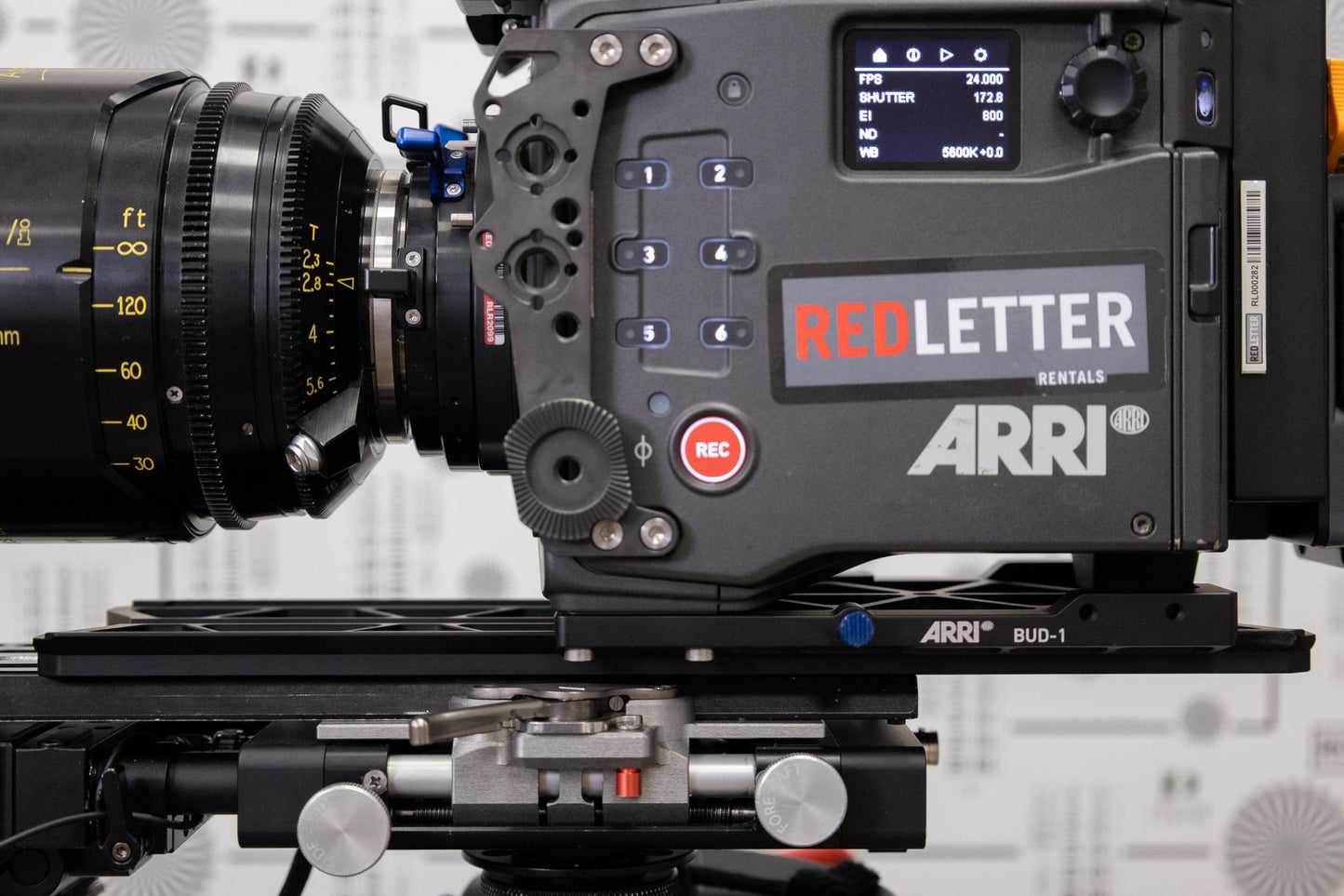 Alexa 35 12” Long Plate